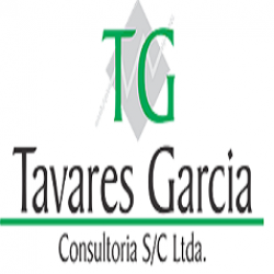 T G CONSULTORIA