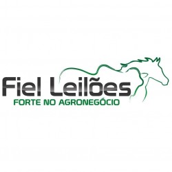 FIEL LEILÕES