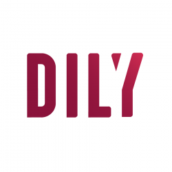 DILY NF MODA ÍNTIMA LTDA