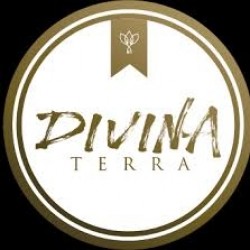 Loja Divina Terra Healthy Market - Mercado Saudável