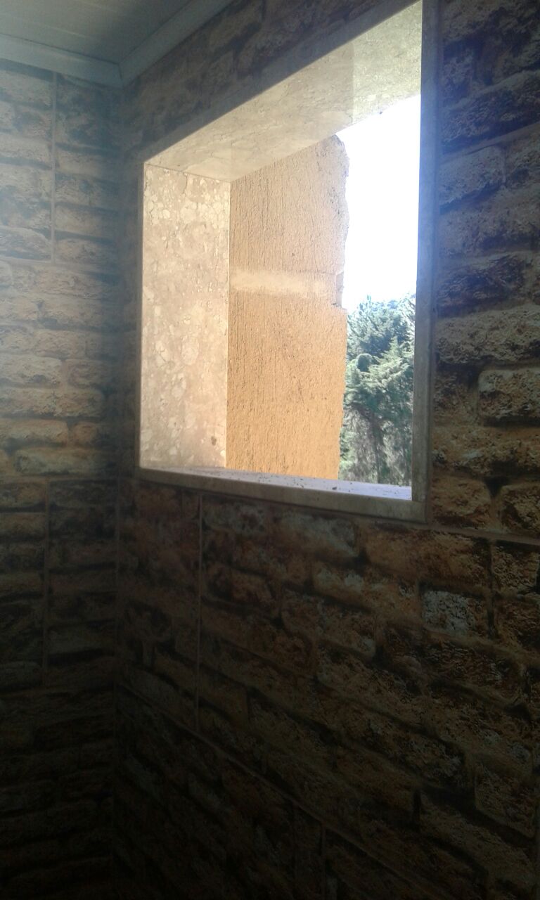 Serviços Realizados